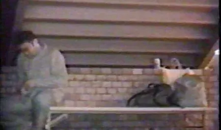 Lesbensklaven-Demütigung !! deutsche sexvidios kostenlos