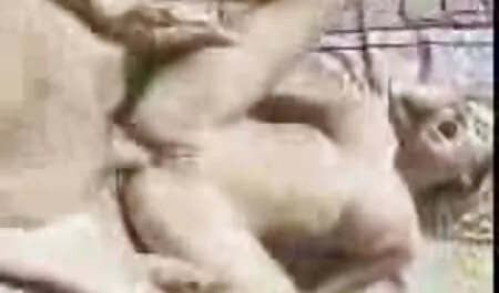 Gold deutschsprachige sexvideos Spandex