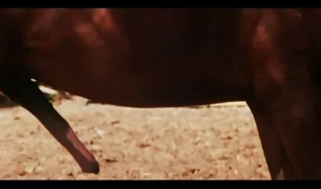 Lesbenszene kostenlose deutschsprachige sexvideos 4