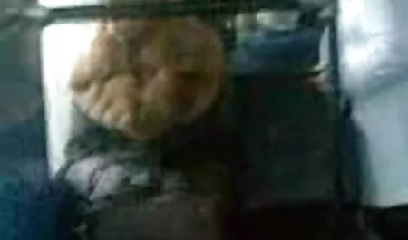 Randy Schlampe lutscht deutsche oma sex videos Schwanz und bekommt ihre buschige schwarze Muschi hardcore gefickt